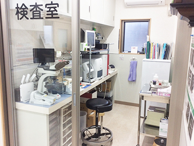 西村獣医科病院の検査室